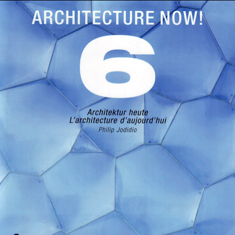 ARCHITECTURE NOW! VOL 6