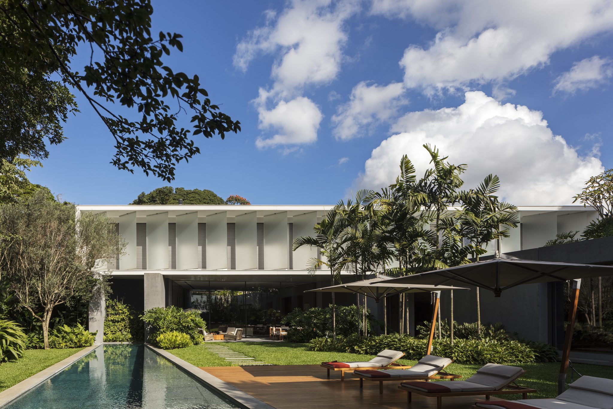 Villa EB: Organic architecture for a hou